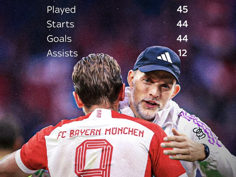 左后卫科尔 左后卫科尔