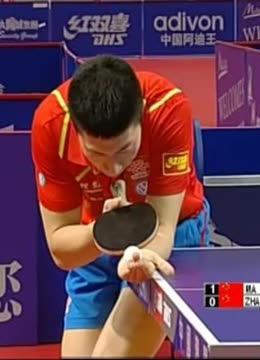 羽球公开赛 羽球公开赛