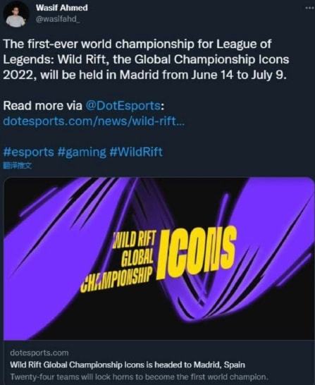 赛的热爱 赛的热爱