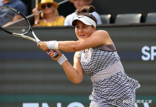 阵容决策内 阵容决策内